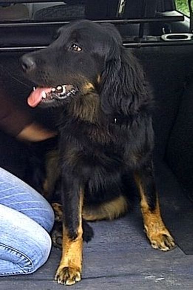 Gianni im Auto